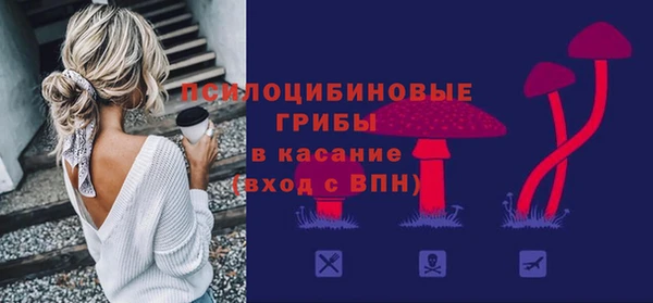 гидра Алагир