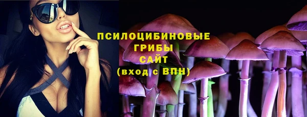 ешки Аксай