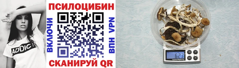 наркота  Кулебаки  Галлюциногенные грибы мицелий 