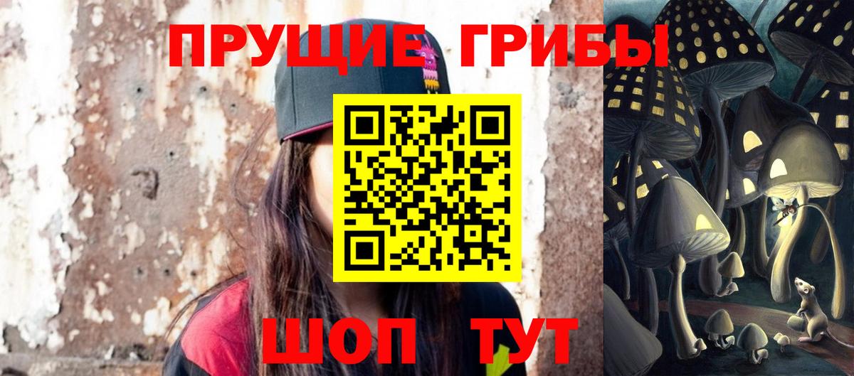 Псилоцибиновые грибы мицелий Кулебаки