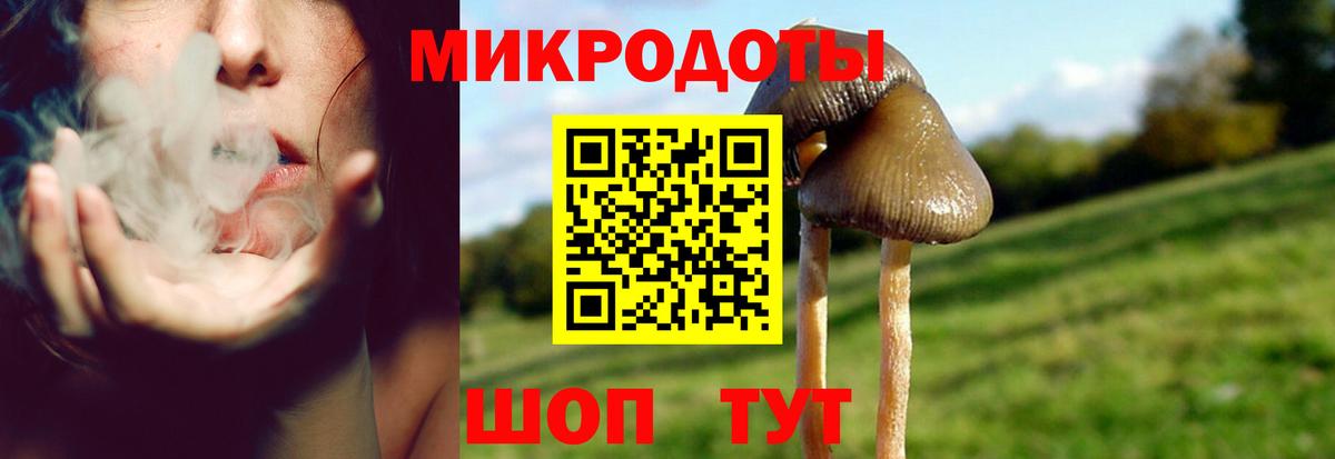 Псилоцибиновые грибы прущие грибы  Псилоцибиновые грибы Psilocybe  цена наркотик  Кулебаки  Вход с VPN 